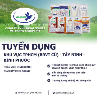 CÔNG TY TNHH NÔNG NGHIỆP VELCORES AGROPEDIA