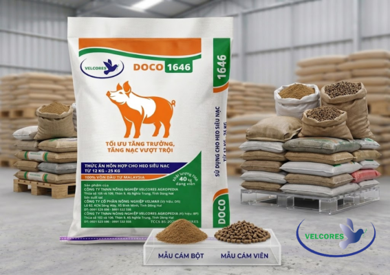 Thức Ăn Cho Heo Siêu Nạc DOCO 1646 (12-25kg) | Bao 40kg Velcores