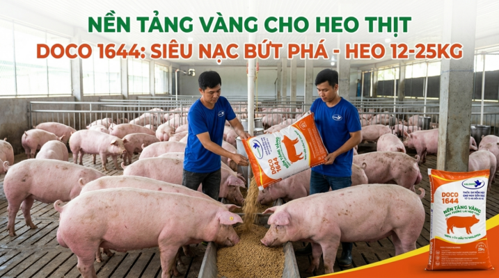 🐷 DOCO 1644 - Nền tảng vàng cho heo thịt giai đoạn 12-25kg! Công thức dinh dưỡng tối ưu từ Malaysia, giúp heo phát triển khung xương vững chắc, tích lũy cơ nạc tối đa và tăng đề kháng vượt trội. Khám phá ngay!