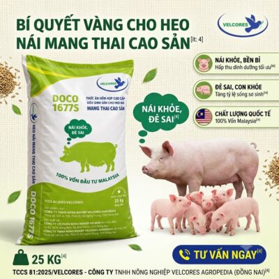 Cám heo nái mang thai DOCO 1677S (Velcores) giúp nái khỏe, đẻ sai, ngừa táo bón và tăng tỷ lệ sống heo con. Mua thức ăn chăn nuôi chính hãng giá tốt ngay!